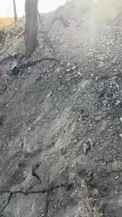 ������������ ���������� �������������� ��������� ��������� ���