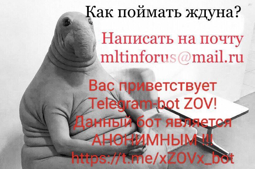 Telegram-bot ZOV! ������ ��� �������� ��������� !!!