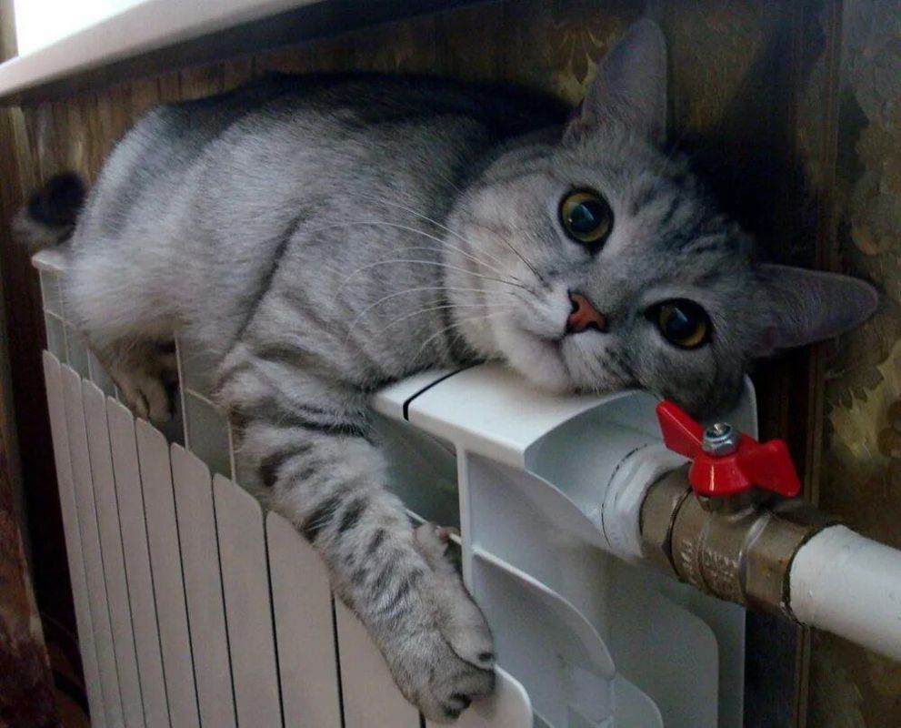 � ������ ���������� ��������� ������������ ����� 2023-2024 �����