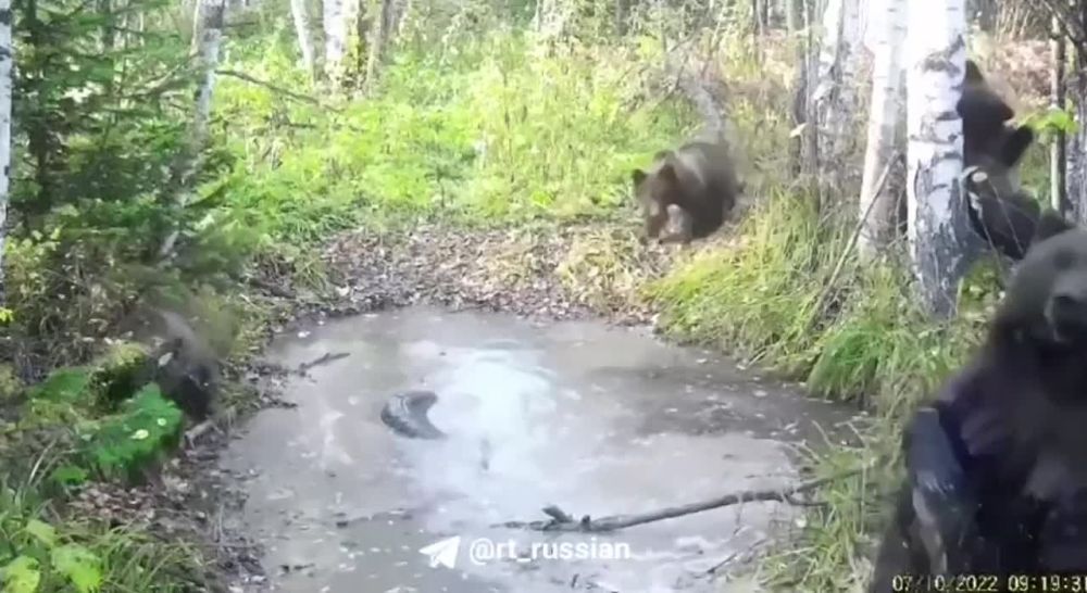 �� ���� �� ������, ����� ������� ���� ������? ���������� � ������ ����