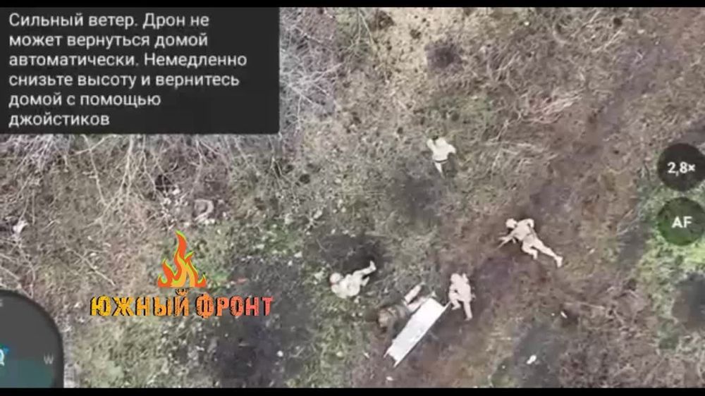 ���������� ����� ����������� ����� ��������� ������������ "��������" ��� � ������ ���������