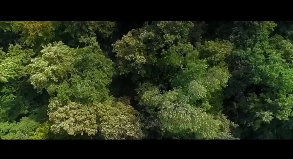 ������������� ������������� ������� ��������� � ����� ���������� ������