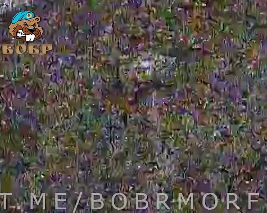 ������� FPV-������� "������" ���������� ������� ������� � ����������� �������