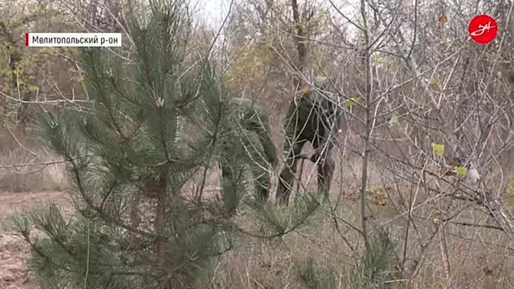 ���������� �� �� �� ����������� ������� ������� ������� �� ������������� ����� ��������� ���