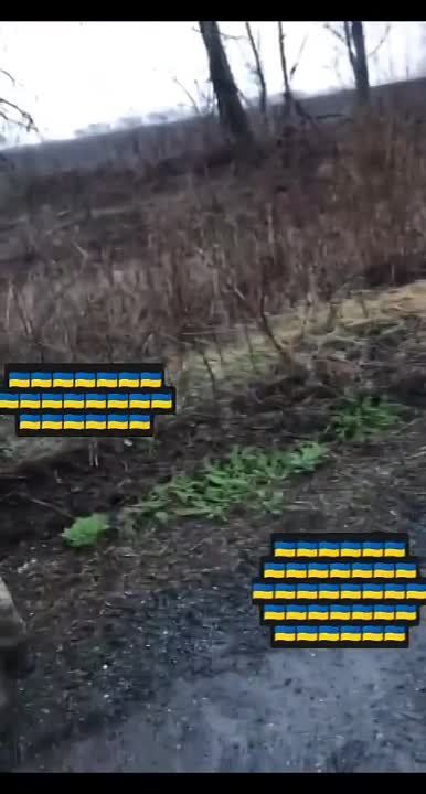 ��� �������� ������� ��� ���������� ���� �� ����