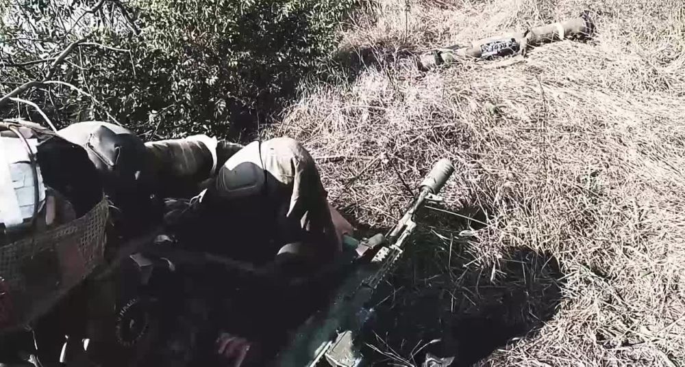 ����� ������ ������ �����������-����������� ��������������� ������������ ��������-���������� ������� ���������� �� ����������� � ���������� ������������