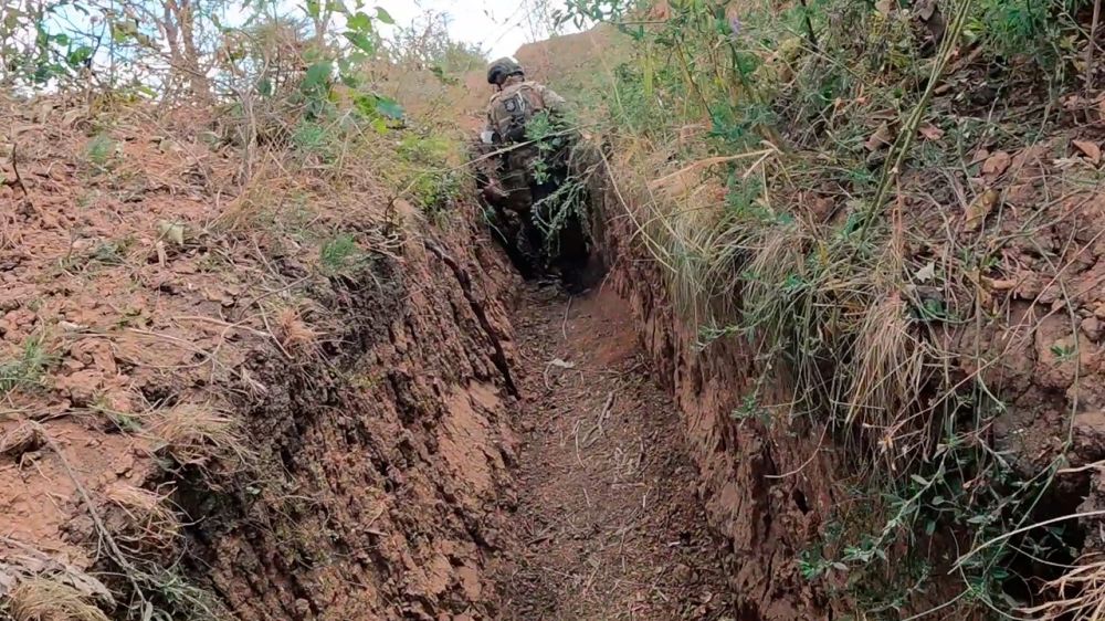 �������������� ���������� �������� �������� ������� ��� � �������� - ���������