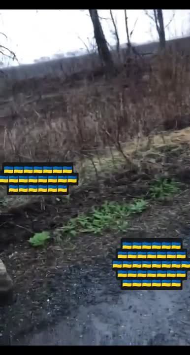 �������� ������� �������� ��� ������������ ���� � ���!