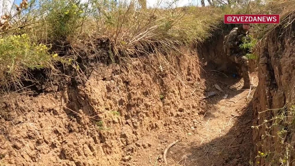 ����� �����: �������� � ��������: ����� ������ ������ �������������� ����������� �� ����������� �����������