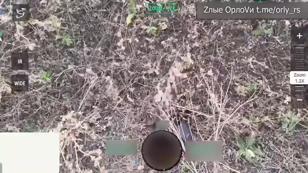 ������ �������� ������.. ��� �������� ��������� ��� ��� �������� ���� �� ����� ��������������, ������� ����������� �� "�����" ����������, ����� ���� �����