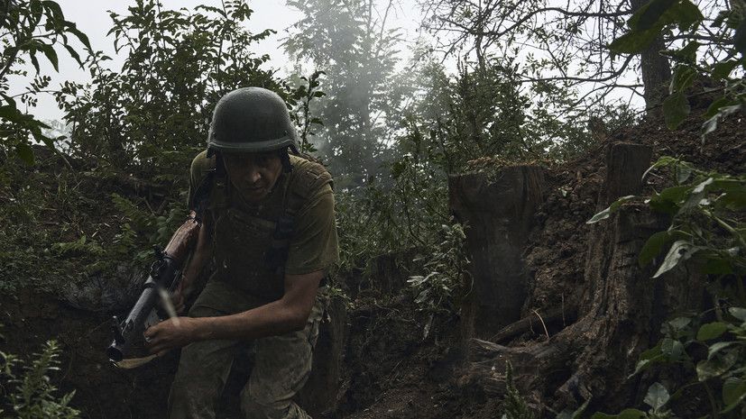 �����: ����� 50 ������� ��� ������� �� ����� ����������� �� ����������� �����������