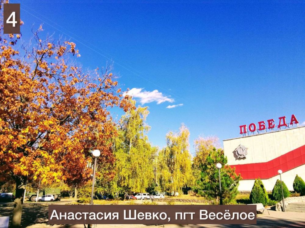 ������ ������: �������: ������ ������� ����������