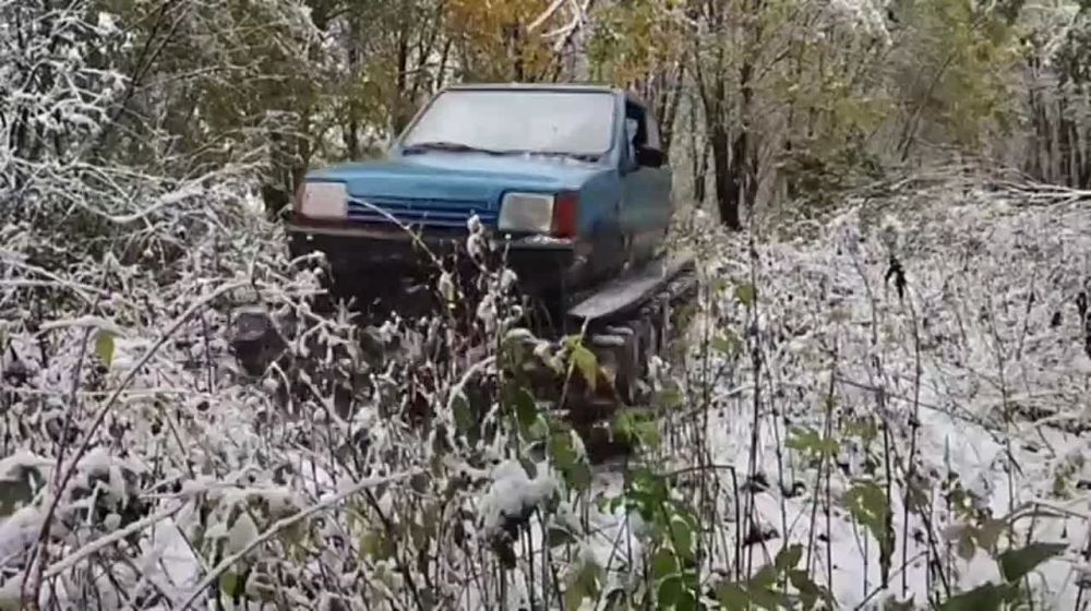 �������� ����� ���� � ������ "������"