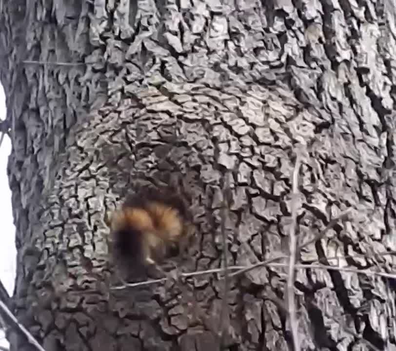 ����� �� ����� �������� � ����