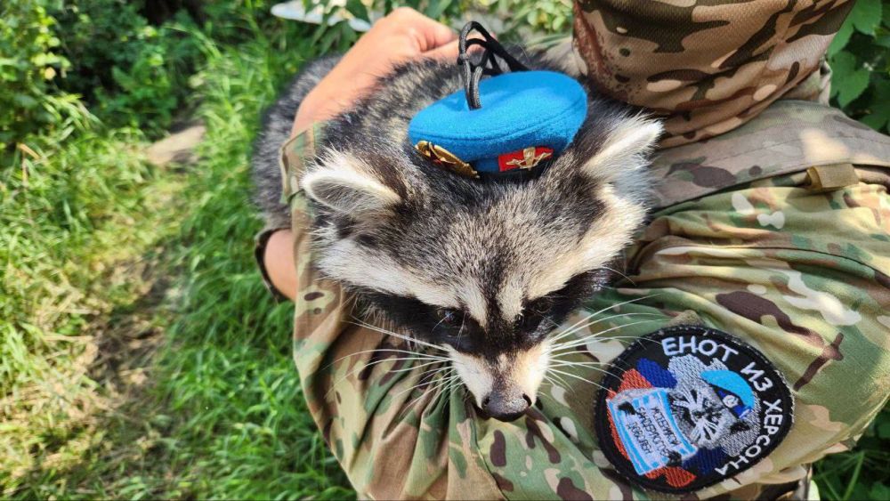 ��������� ������!. ����� ���� �� ������� ������ ����� ������ ������ ��� ���� ������ ��� �� � ��� ���� ��� ��� ����������. �������������� ����� ��� ���� ������ Chat ��������������, ������� � ����� �� ��� �������