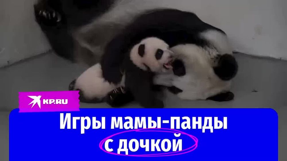 � ����� ����� ��������: ����� ������ �� ����������� �������� ������ ������ �� ����� ���������