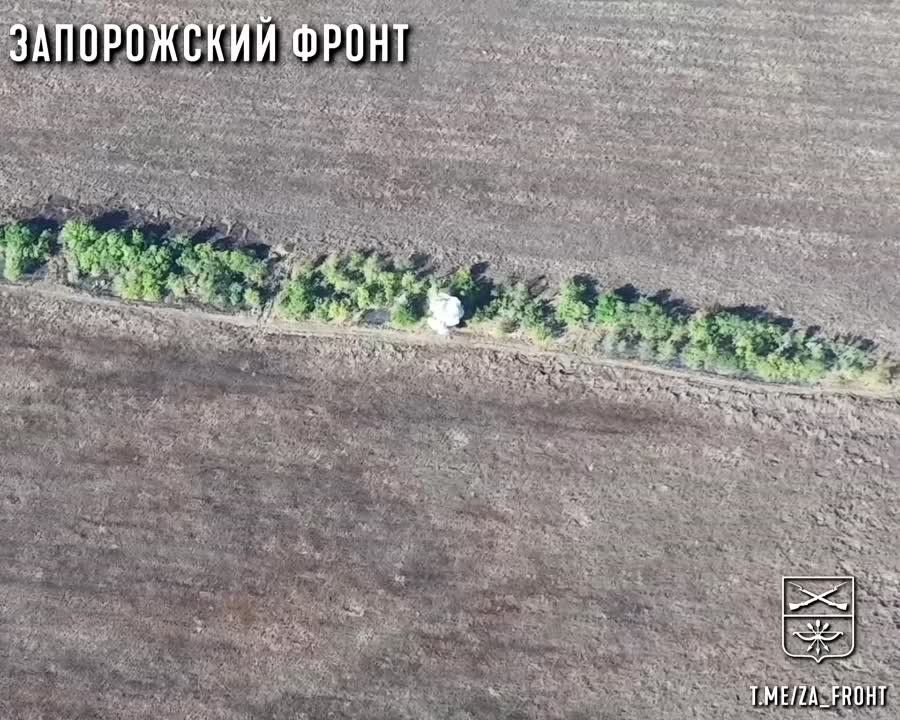 �������� "����" � ������� FPV-������ ���������� ������� ��� �� ����������� �����������