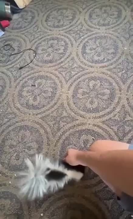 ������ ���. ������ �� Reddit ���������, ��� ���� ������� ������ � ����� ���� ��� ���� ������� ������