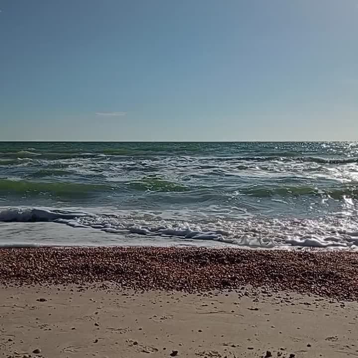 ��� ����� ����, �����, ��� ���������