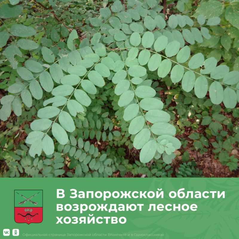 ����� ��������� ��� ������ � ����������� �������