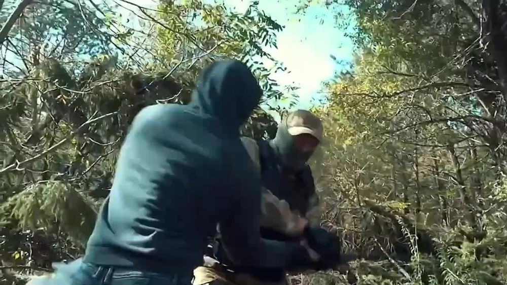 �������� 9 ������ � ������ �������� ���� ����������� �������� ����������