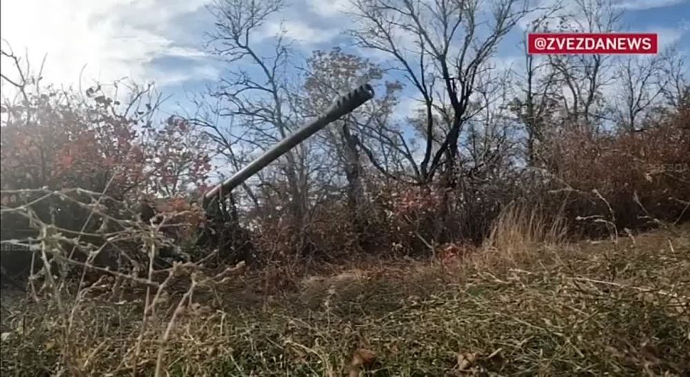 �������� ���� ����� �����, � ������ ��������� ������� ���� � ������������ 503-�� ��������������� ����� ���������� ����������� � ����� ���� ���