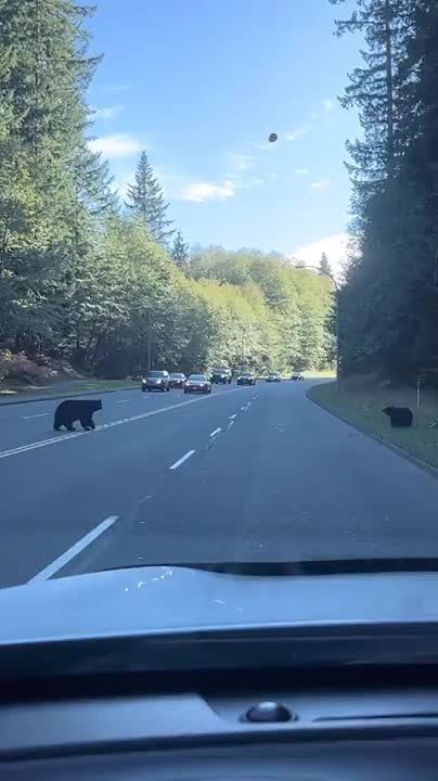 ����� �� ����� ��������, ����� � ���� ���� ��������� �����!