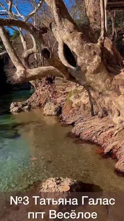 ������ ������: ����� �������� ��������. �������, ��� � ��� ���� 4 ���������. � ������ �� ��� �� ������� ����������: � ��������� ������� ������� ����� �������� ������� ����� �� ��� ������
