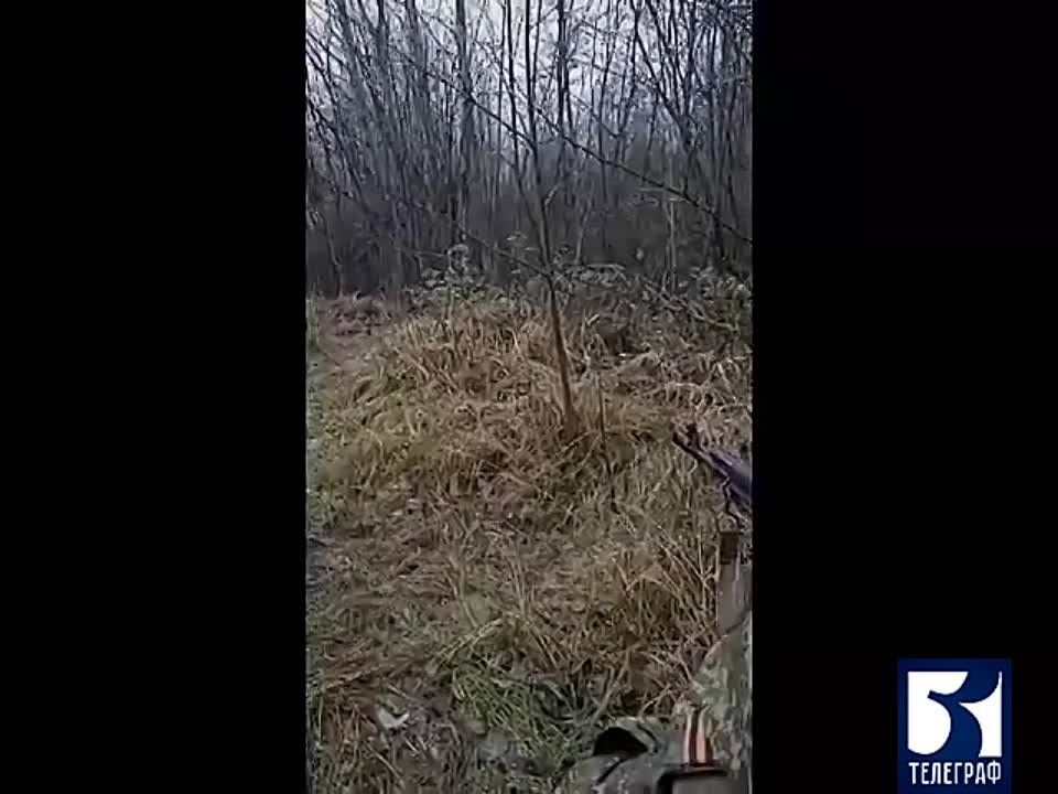 �� �� � ���� ������ ����� � ���� ���������� ��������
