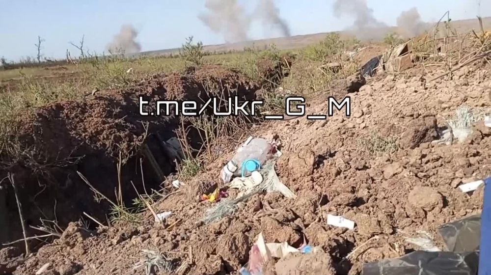 ����� �����: ������� ��������� ����������� �� �� ������� �������� ��� �� ����������� �����������