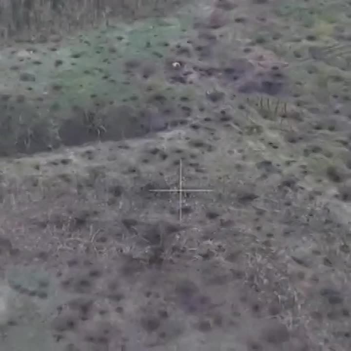 ��������� ����� ������ �������������� ������������� ���������� ����������� �����