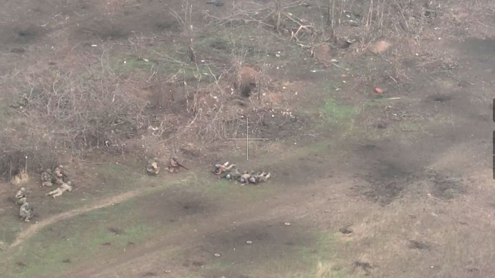 ������������ ����� ����� ���� ���������� �������� � ������ ��������