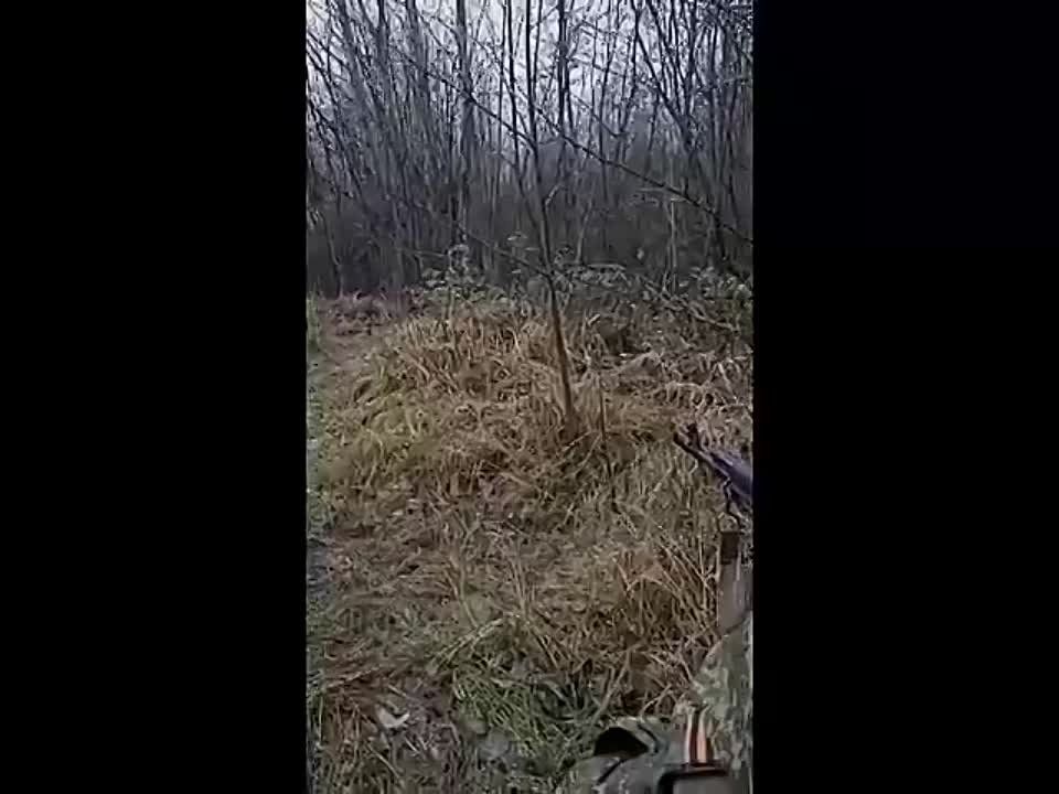 � ������� ��������� �� ����� � ������ ��������, ��� ���� ��� ����� � ���� ���������� �������..