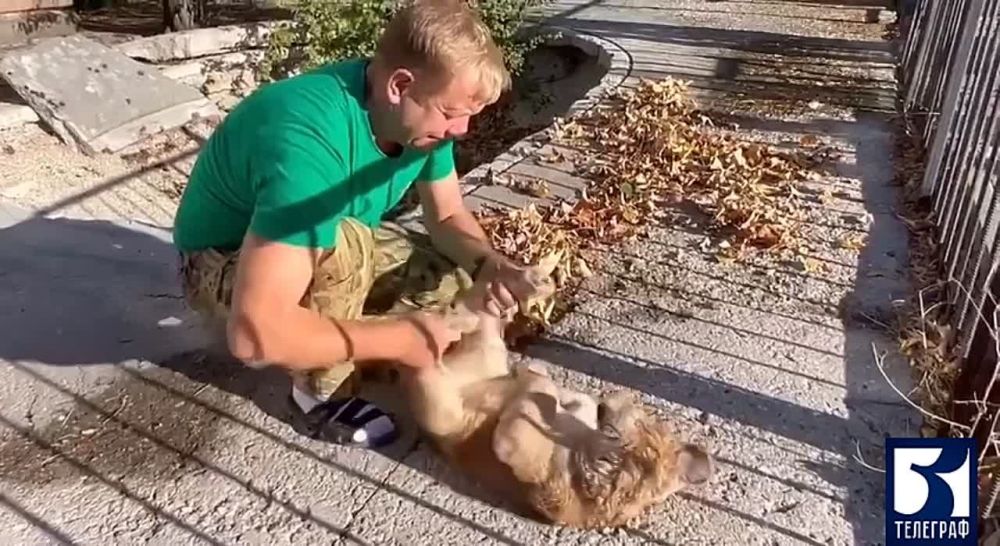 ������ ����� ������� ���� �� �������� � ��� ��������� ���� ������ �������� �� ����� ��������