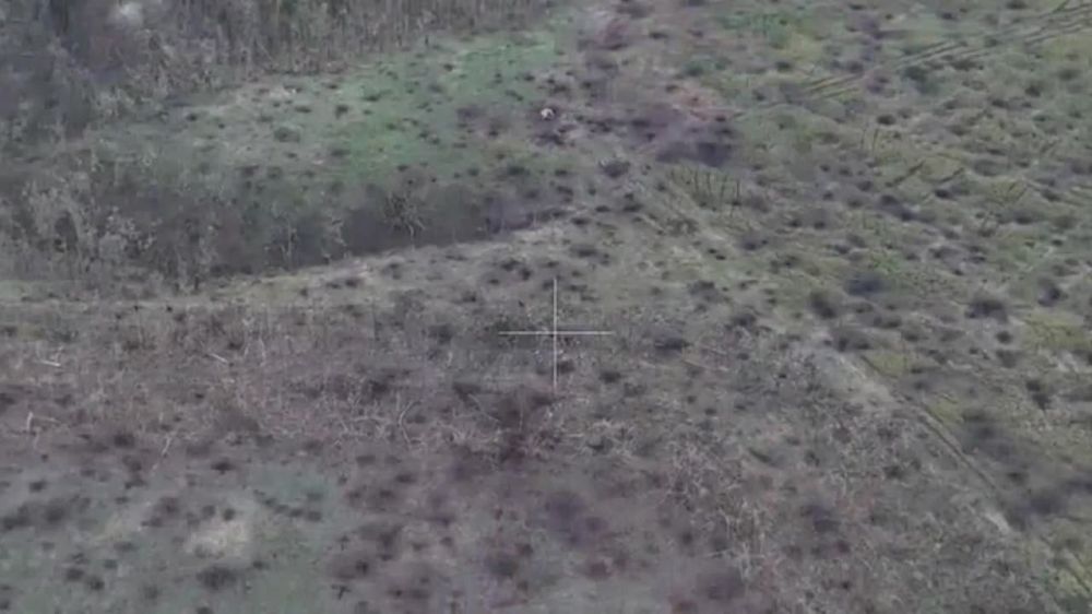 ����� �����: ����� ������ ���������� �� @btr80 � ���������� ������� ��������� �� ����������� �����������