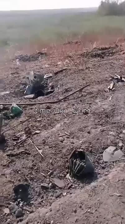��������� �������� ������������ �������� ������������ ���������� ������������ �� ����������� �����������