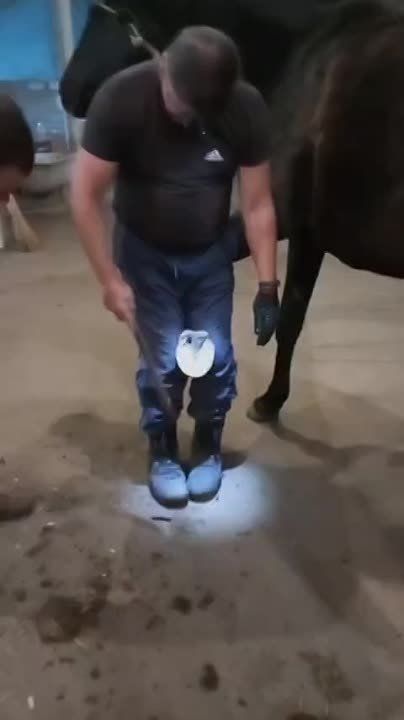 � ��� "����" � ��������������� ������ ������� ��������� � �������!