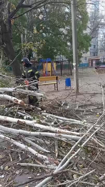 ��������� ����� � ���������� �������, �� ����� ������ ����� � �����������