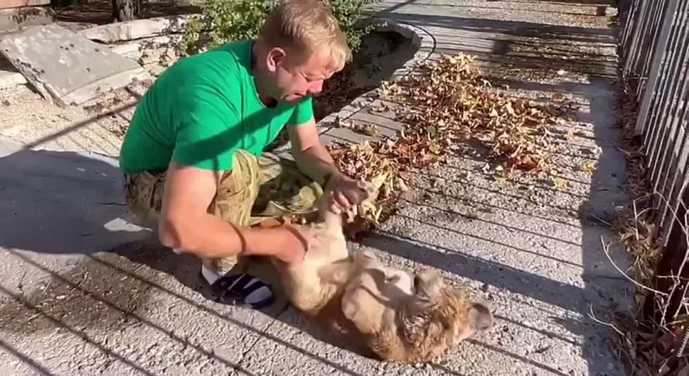 � ��� ���� ������ ����, ���������� ���������