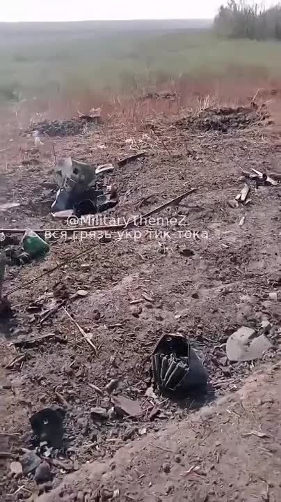 ����� �����: ��������� �������� ��������� ������������, ������� ������������ �� ����������� �����������