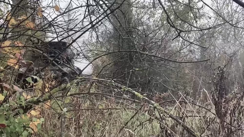 ����� ������ ������ ���-1� "���������" � ���� ���