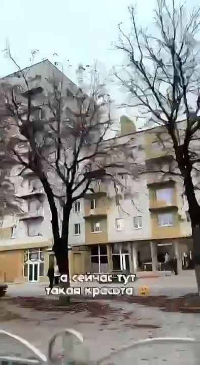 ��� �������� "���������-����������", "����������� ����" ����������� ���������..