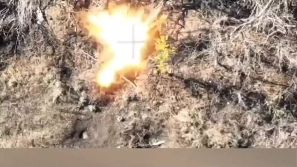 ������� �������: ���������, ��� ����������� ��� ����� ���������� ��������� � ���������� �����������, �����������...