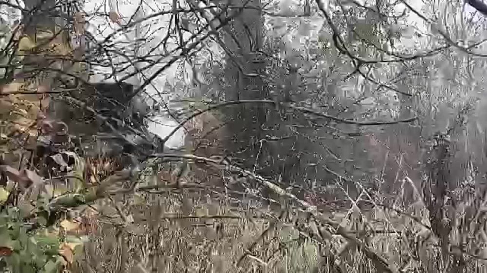 ����� ������ ������ ���-1� ���������� � ���� ����������� ������� ��������