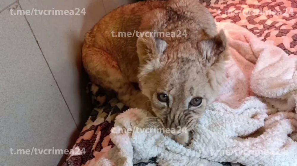 ������������ ������ �� ���������� ��� ������ �� ���� � �������� ����� �����