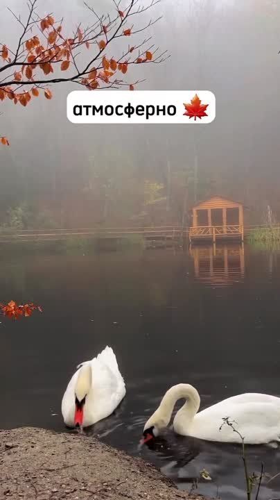 � �� �����, ��� �� ���������� ����� �� ������ �� ��-����� ���������� ���� �������?