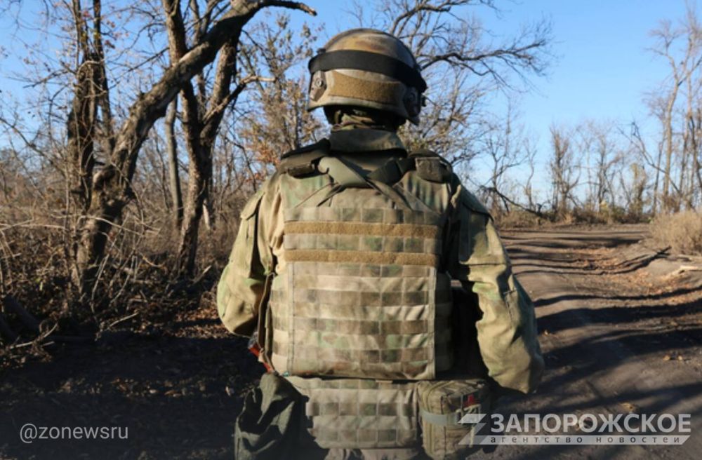 ������ ������� � ������������ ����������� �������� � 2024 ����