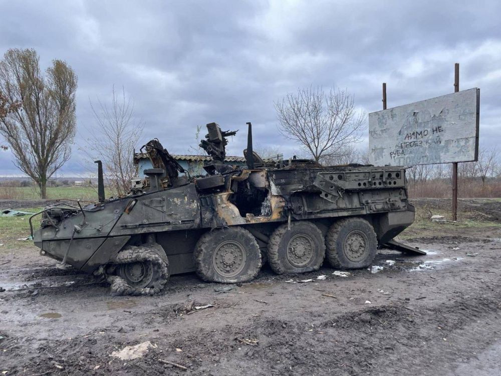 ������������ ������������ ��� Stryker ��� � ����� � ������� �� ����� �������������� ���� ����� ������� �������� ����