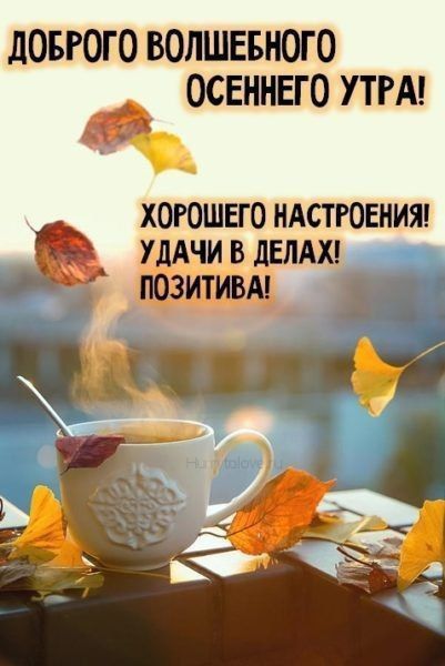� ������ ��������