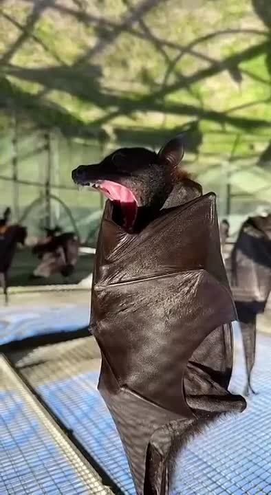 ������� ������. #��������������